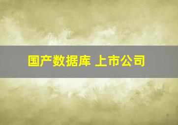 国产数据库 上市公司